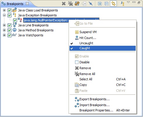 Exception Breakpoint Caught