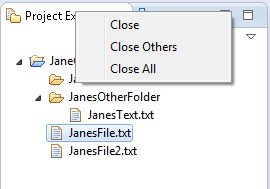 Project Explorer view menu, top left
